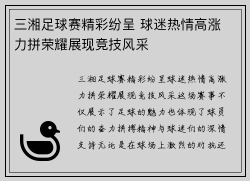 三湘足球赛精彩纷呈 球迷热情高涨 力拼荣耀展现竞技风采