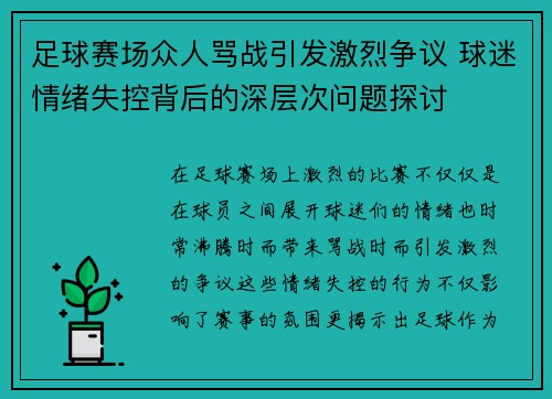 足球赛场众人骂战引发激烈争议 球迷情绪失控背后的深层次问题探讨