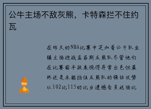 公牛主场不敌灰熊，卡特森拦不住约瓦
